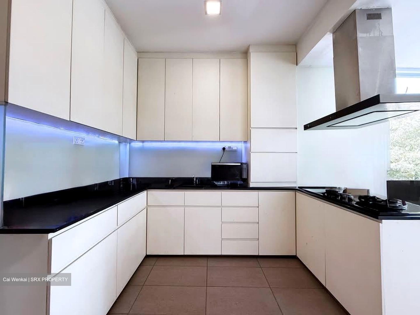 Thomson Grove (D26), Condominium #571387731
